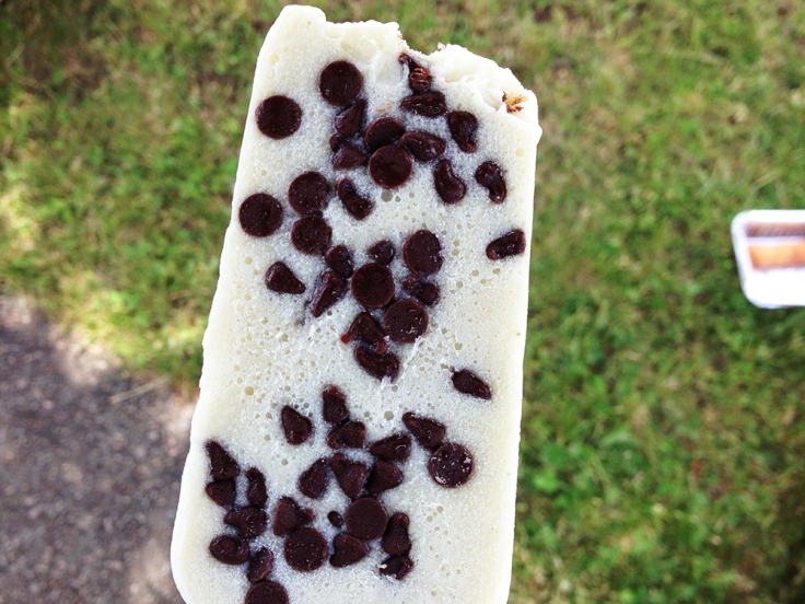 PVD Pops - Mint Chocolate Chip