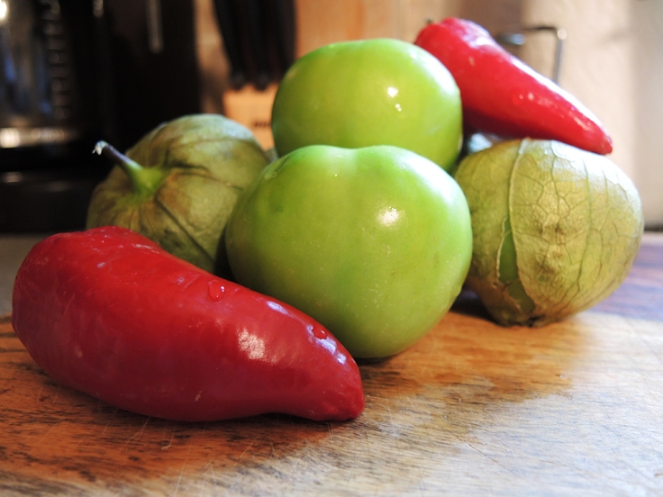 Man Fuel - food blog - Tomatillo Salsa Ingredients