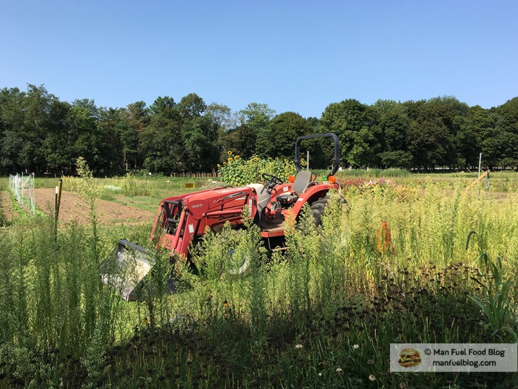 Man Fuel Food Blog - Brookwood Community Farm CSA - Tractor